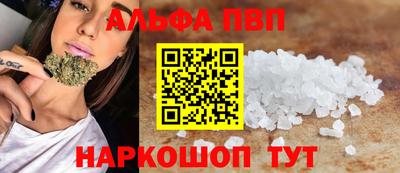 стафф Камышлов